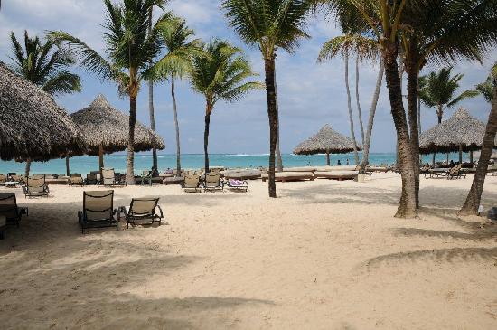 Paradisus Punta Cana Destination Beach.jpg